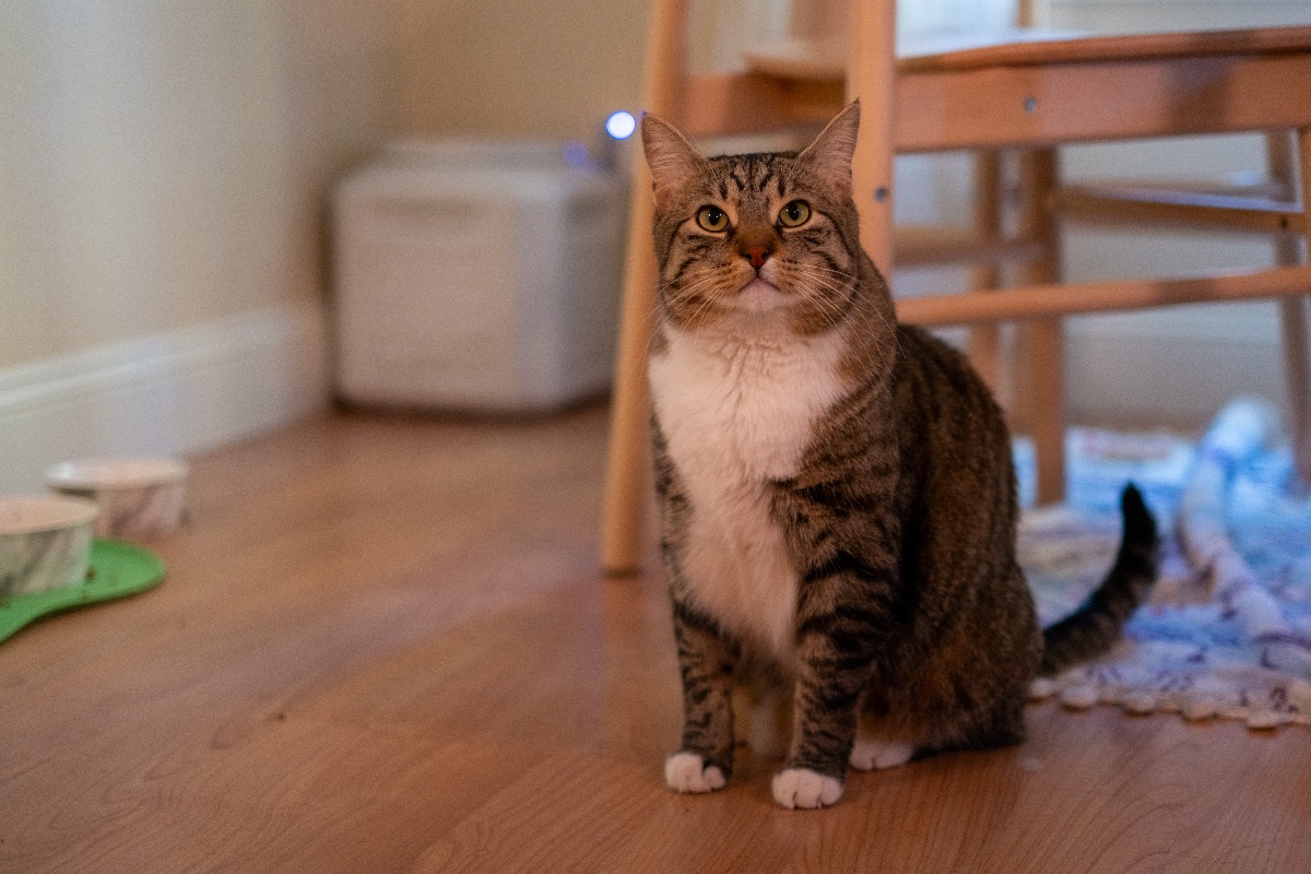 So Does This Even Work Or Like